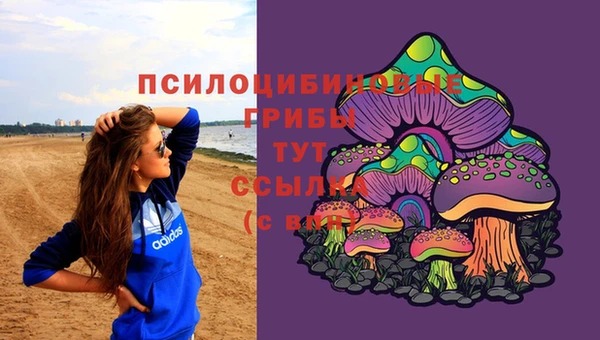 первитин Богородск