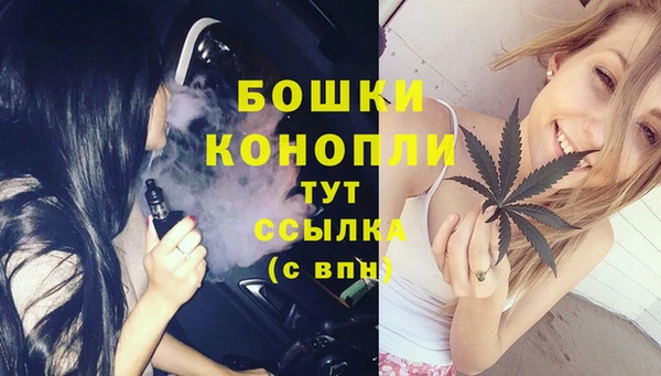 индика Бронницы