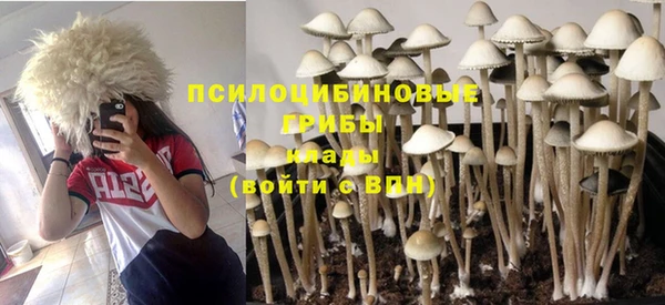 мяу мяу мука Богородицк