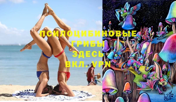 мяу мяу мука Богородицк