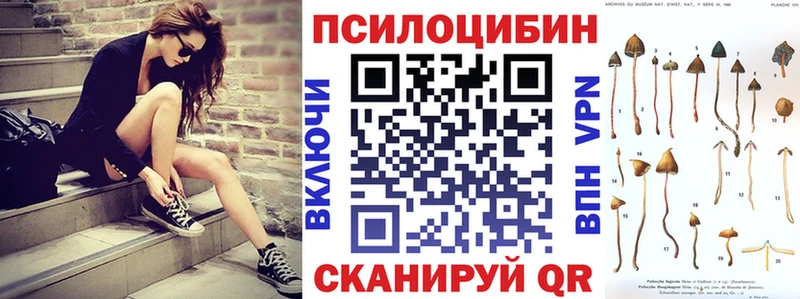 Купить где  Белгород  Псилоцибиновые грибы мицелий 